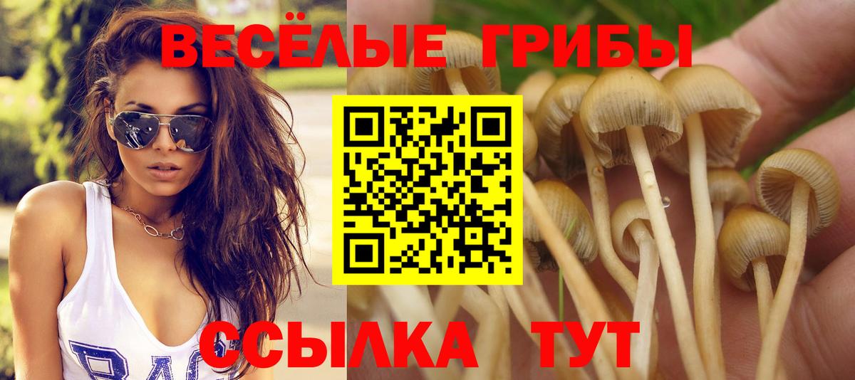 A-PVP Кропоткин