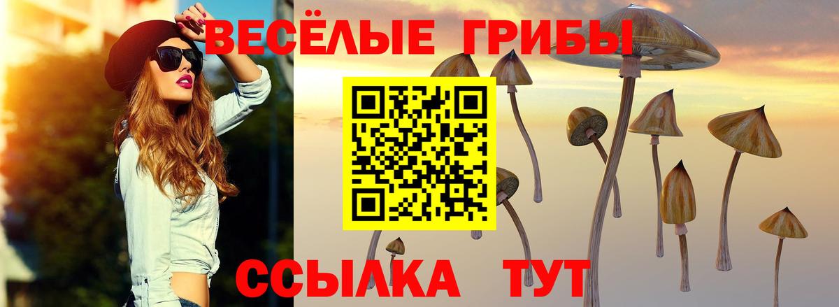 Кропоткин  Псилоцибиновые грибы Psilocybe  Галлюциногенные грибы MAGIC MUSHROOMS  Вход с VPN 
